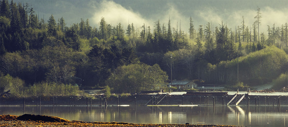 Foggy Lake